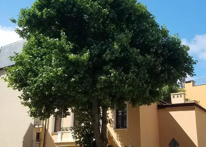 Apartamenty na Cichej 5 a4