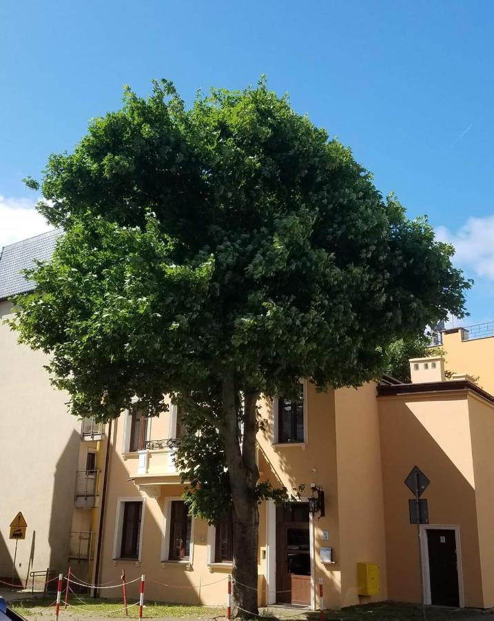 Na Cichej 5 A4 Apartament